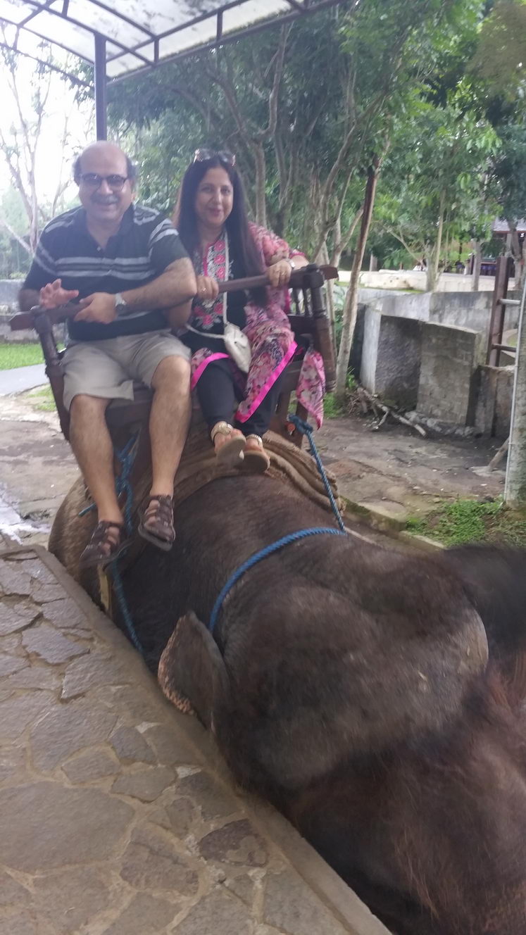 20160209 152232 (2016 10 02 16 07 39 UTC)